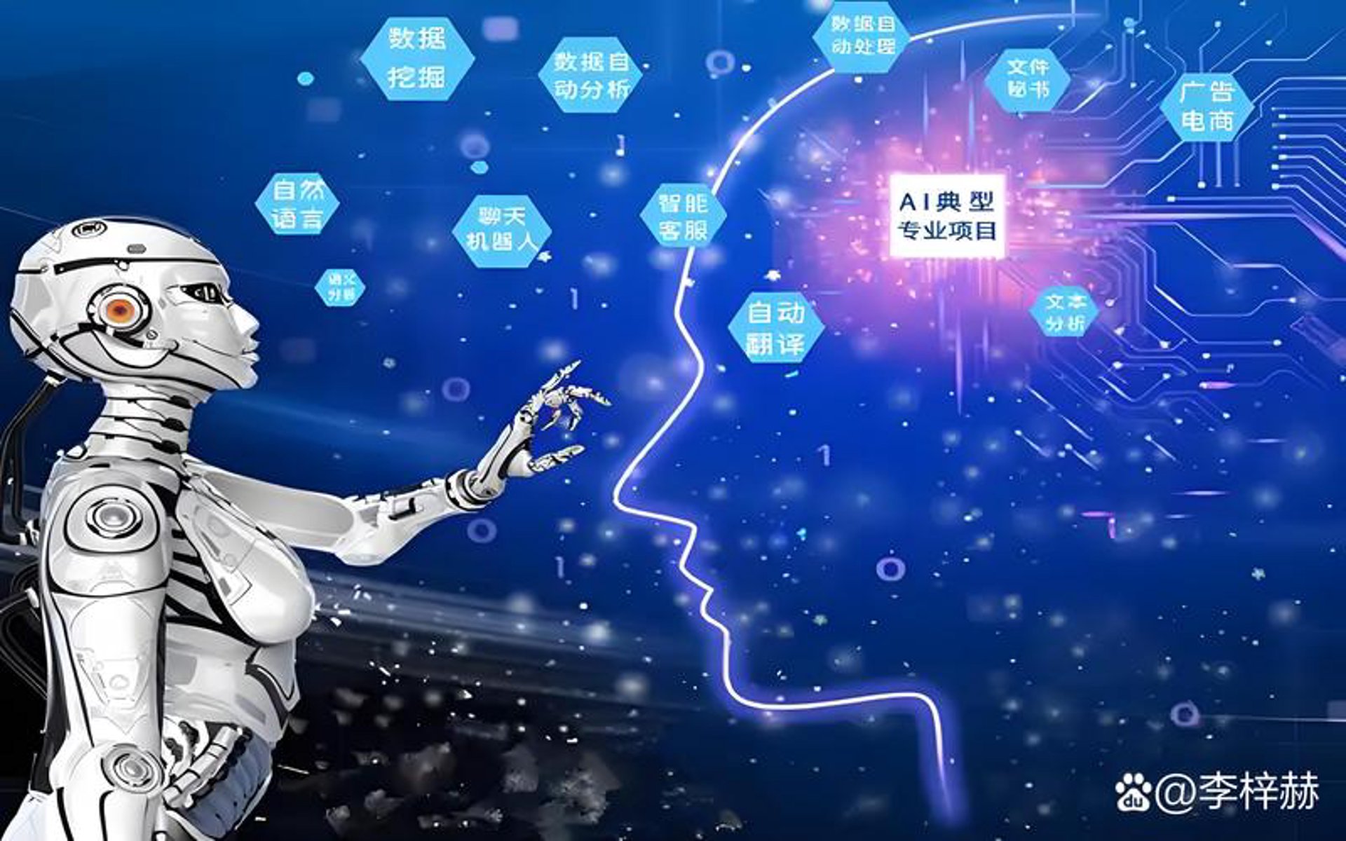 百探网络科技